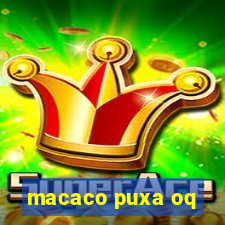 macaco puxa oq